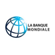 Projet eau et assainissement en milieu rural (PEAMIR)