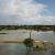Dégâts des inondations à Fatick : Des maisons sous les eaux, des cases tombées, des champs submergés…