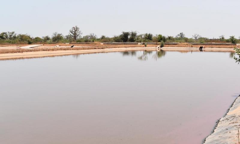 Revivez en images la visite de terrain du DG DE l'ONAS à Mbour