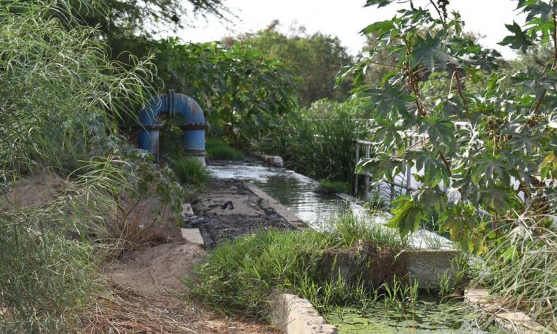Revivez en images la visite de terrain du DG DE l'ONAS à Saly