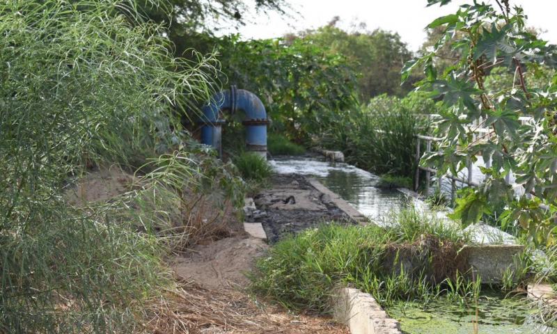 Revivez en images la visite de terrain du DG DE l'ONAS à Saly