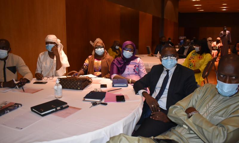 Revivez en images l'atelier du comité régional de développement préparatoire de l'hivernage 2021
