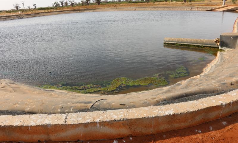 Revivez en images la cérémonie de réception des ouvrages d'assainissement de Joal, présidée par Son Excellence le Président Macky Sall
